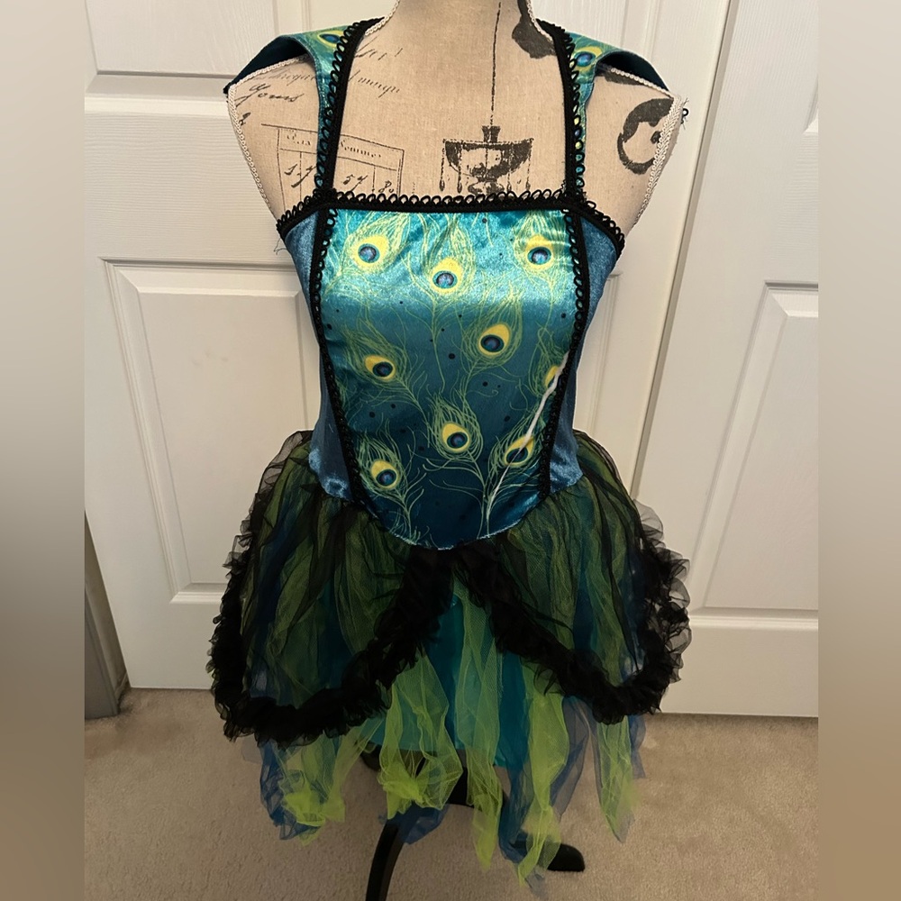 Blue and Green Teen Carnival/Halloween Costume